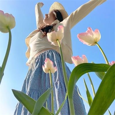 航越地平线
